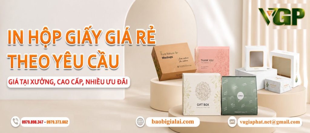 Công ty sản xuất, in ấn thùng carton, túi giấy giá rẻ tại Gia Lai
